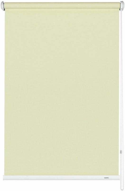 Seitenzugrollo 52x180 cm, Uni champagner