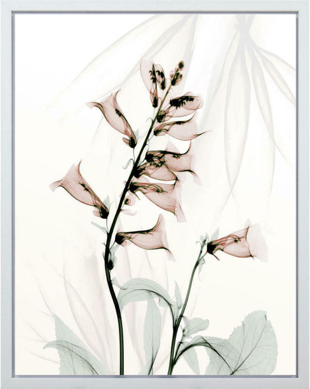 Kunstdruck 40/50 cm