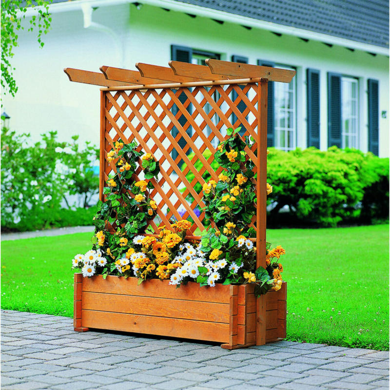 Rankkasten mit Pergola