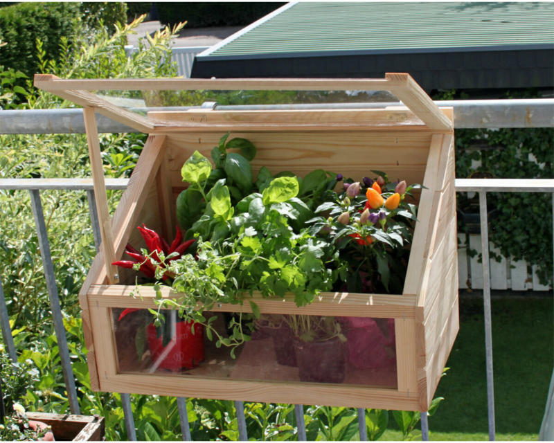 Mini Gewächshaus für Balkon