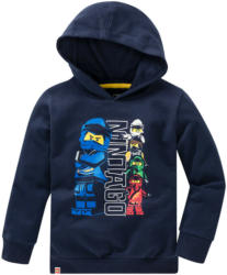LEGO Ninjago Sweatshirt mit Kapuze (Nur online)