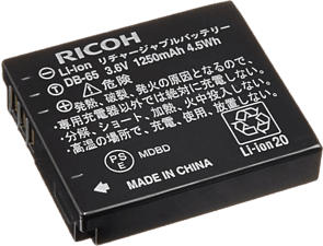 RICOH DB-65 -