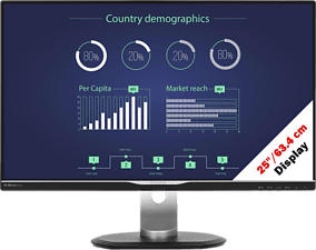 PHILIPS 258B6QUEB/00 - Monitor (24.9 ", WQHD, 75 Hz, Schwarz)