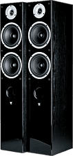 WILSON Raptor 7 - Standlautsprecher (Schwarz)