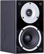 WILSON Raptor Mini - Regallautsprecher, Paar (Schwarz)