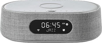HARMAN/KARDON Citation Oasis - Radio Internet (, Grigio)