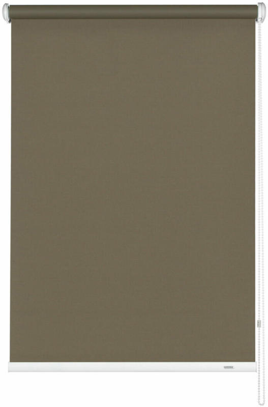 Seitenzugrollo 162x180 cm, mocca