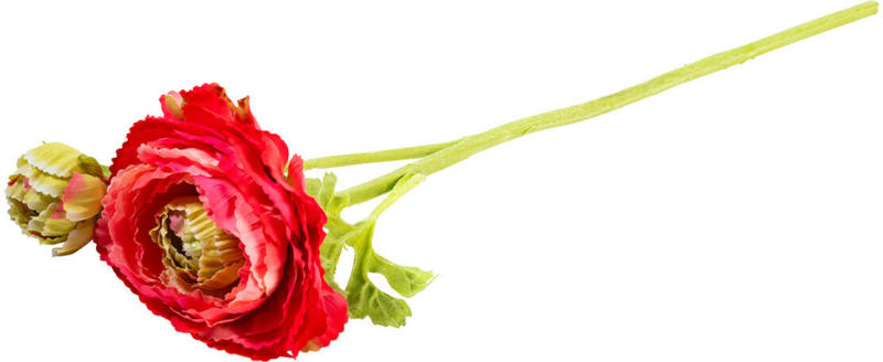 Kunstblume Ranunkel (Nur online)