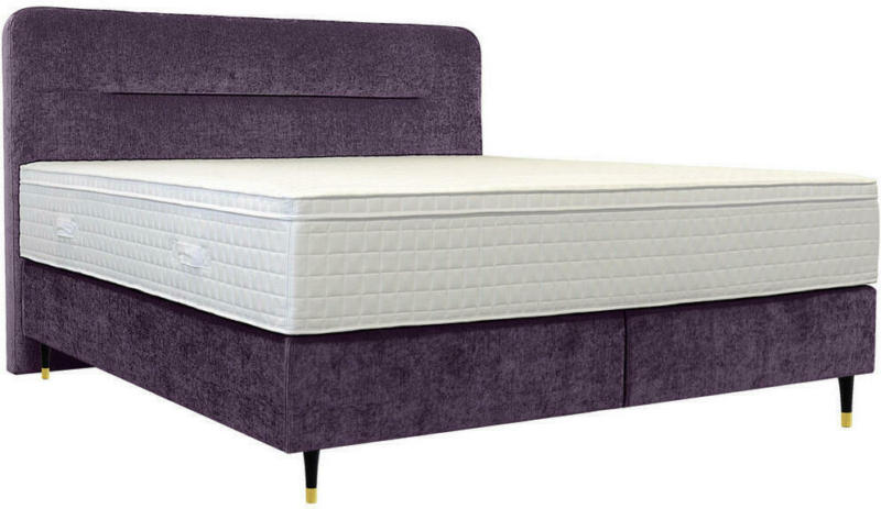Boxspringbett 200/210 cm in Violett
