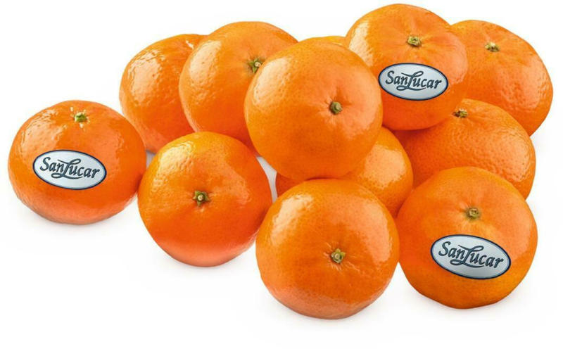 SanLucar Mandarinen gelegt aus Spanien