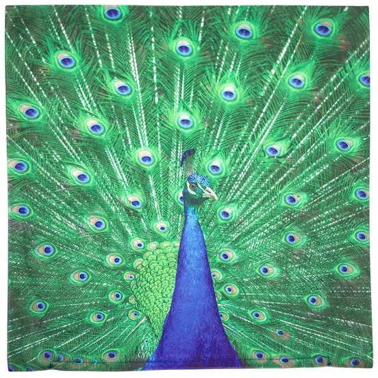 Kissenhülle mit Pfau-Motiv, 40x40cm