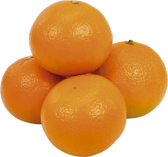 Clementinen