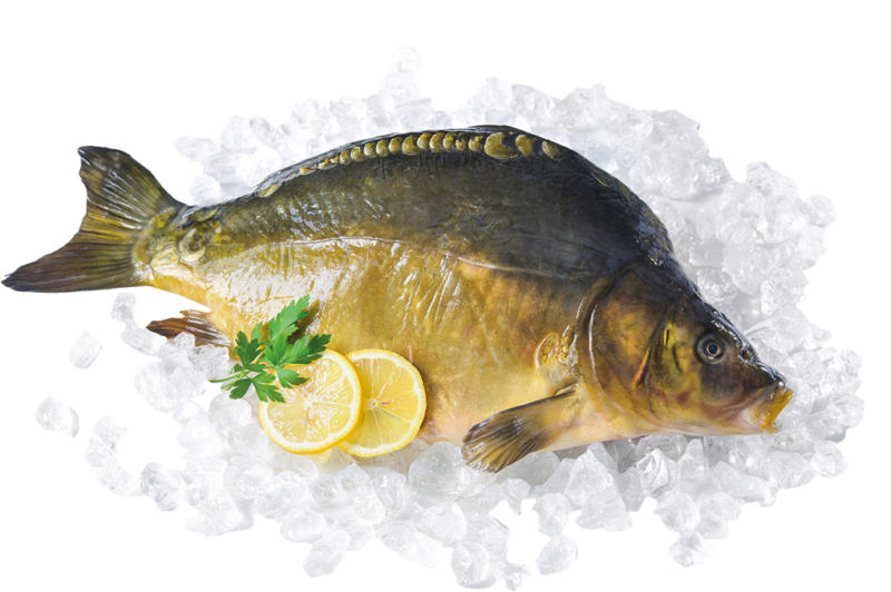Spiegelkarpfen, frisch (Cyprinus carpio)