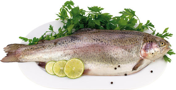 Lachsforellen frisch (Oncorhynchus mykiss)