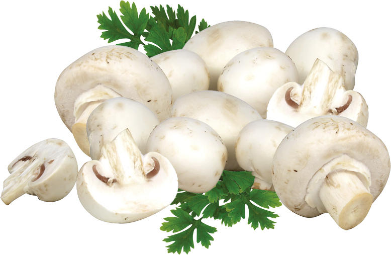 Champignons weiß