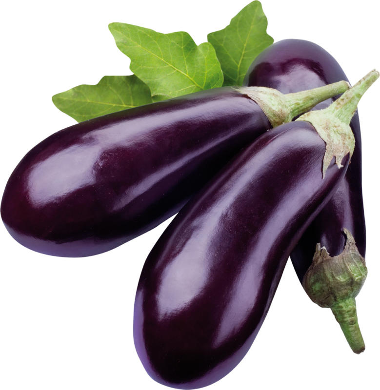 Auberginen