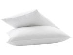 Kissen BILLERBECK EDITION YASMIN 65x100cm