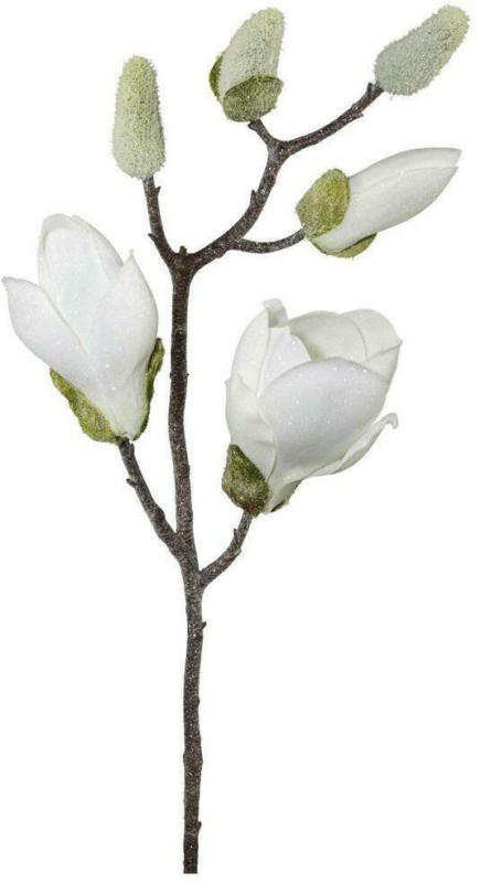 Magnolie L: ca. 43cm