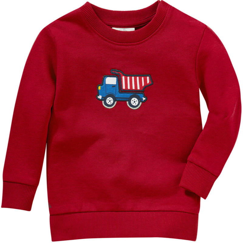 Jungen Sweatshirt mit Kipper-Motiv (Nur online)
