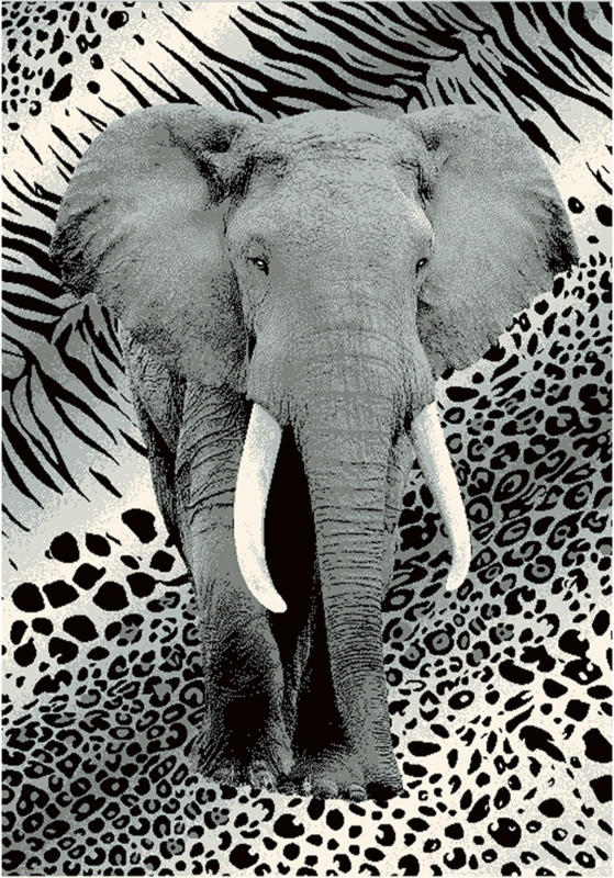 Teppich ELEFANT