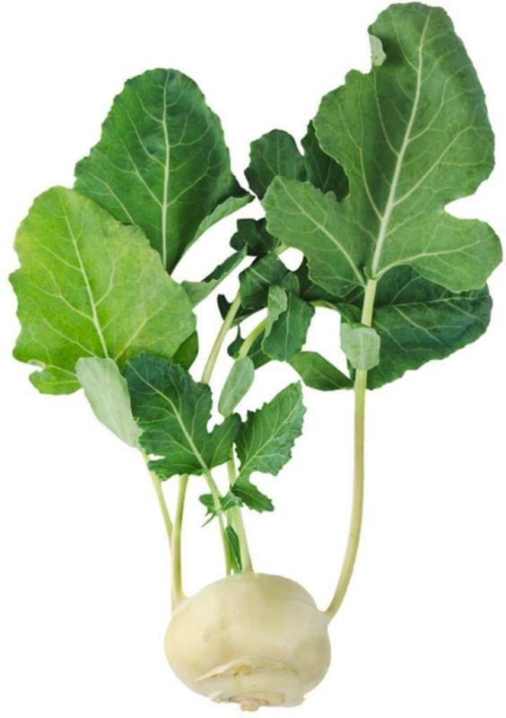 Ja! Natürlich Kohlrabi