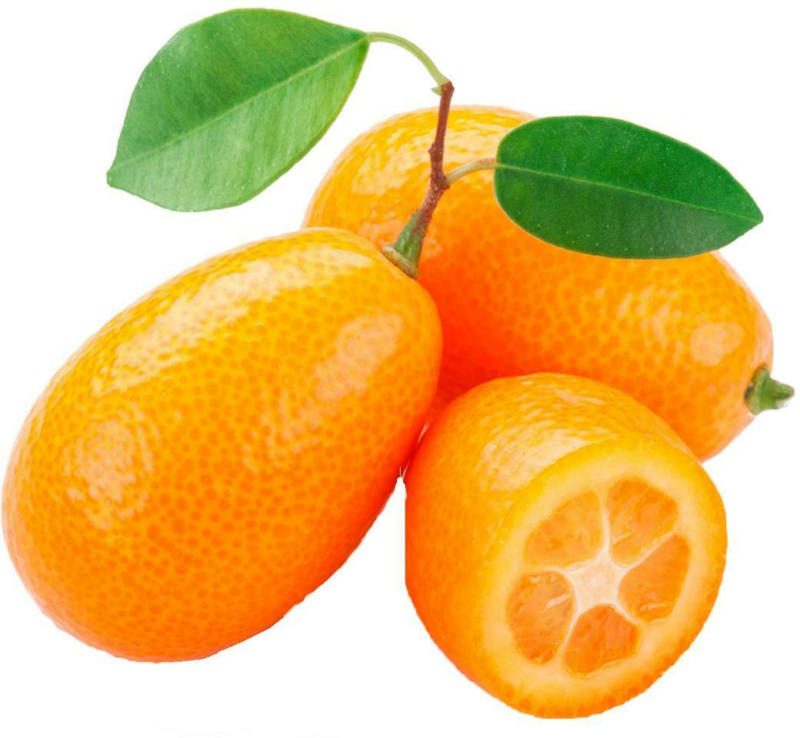 Ja! Natürlich Bio Kumquats aus Spanien