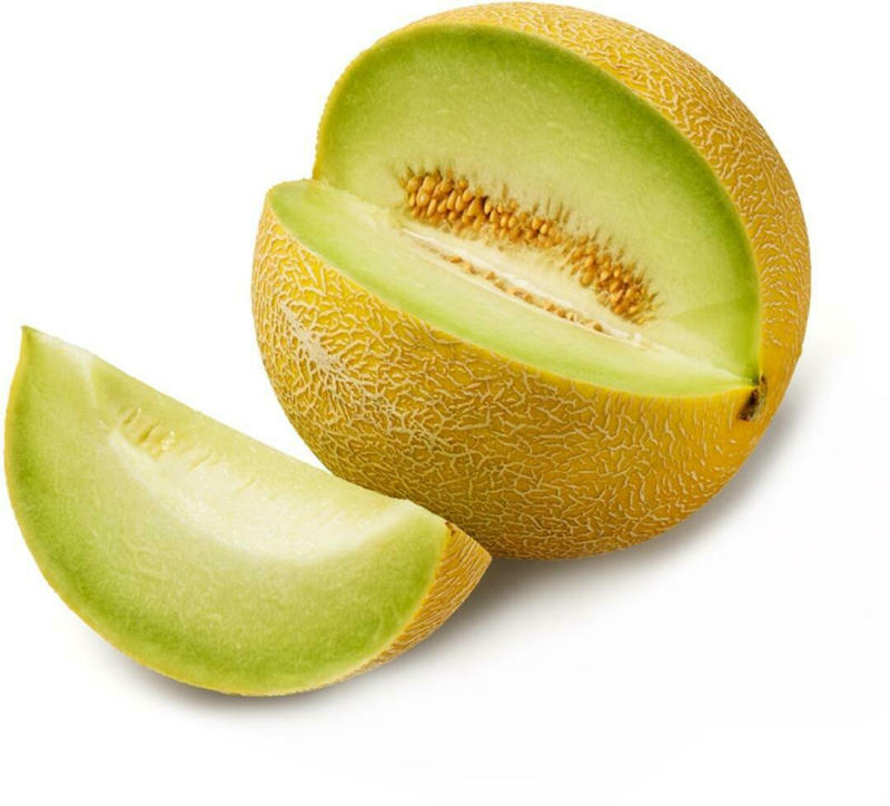 Galiamelone aus Spanien