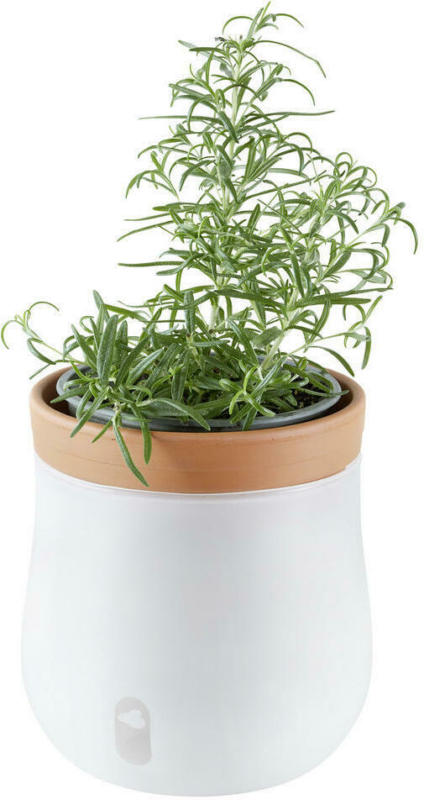 Pflanztopf 15,6/16,5 cm