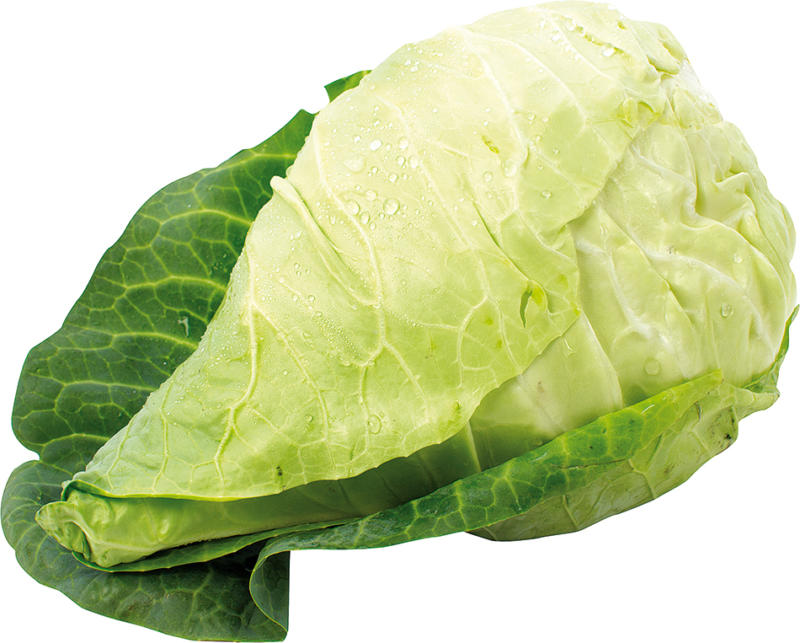 Spitzkohl