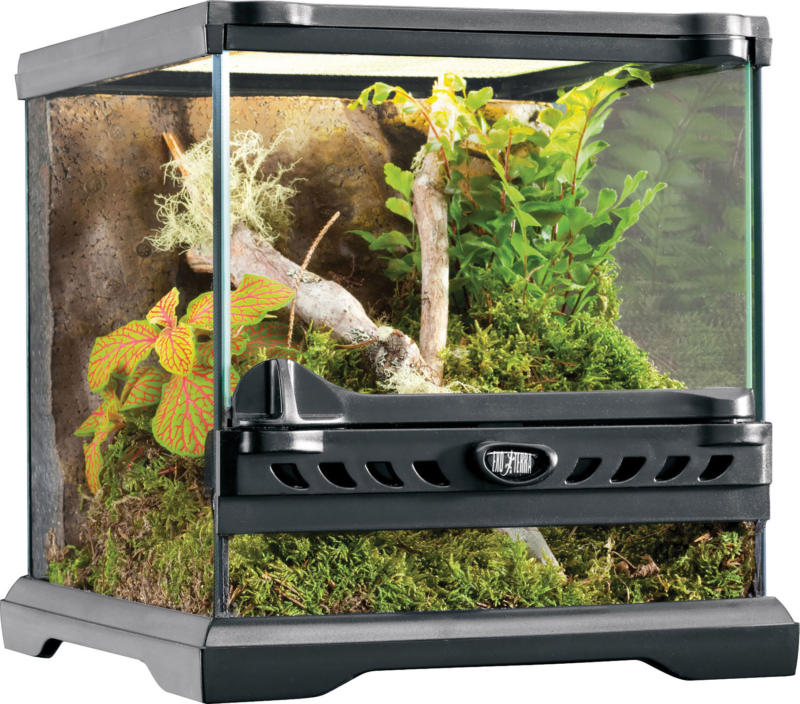 Exo Terra Nano Glas Terrarium 20x20x20cm