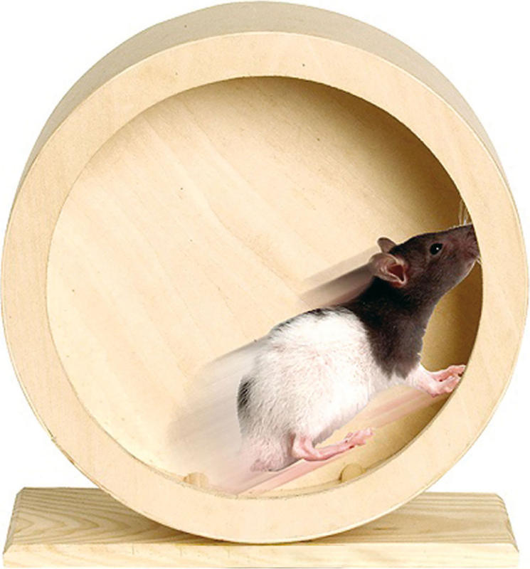 Roue en bois pour hamster Roundy 20cm