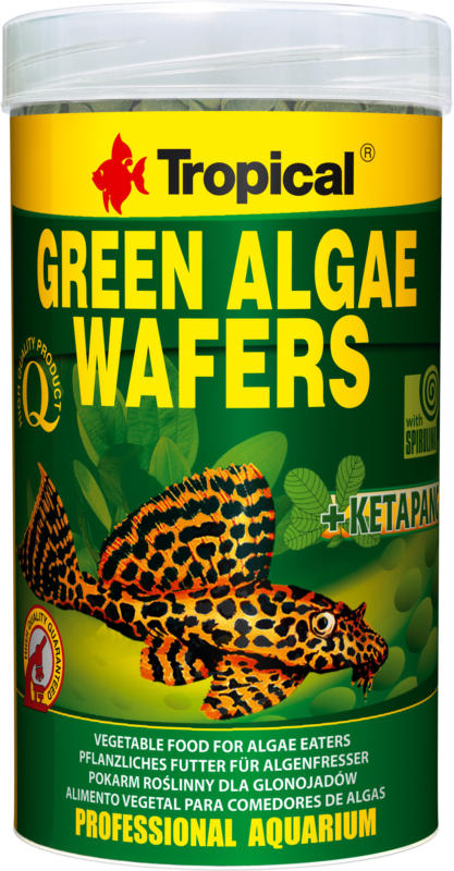 Tropical Green Algae Wafers 250ml/113g