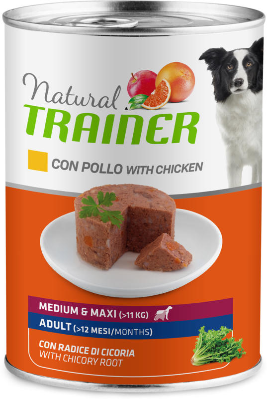Trainer NATURAL WET Adult Medium Chicken Rice & Aloe Vera 400g
