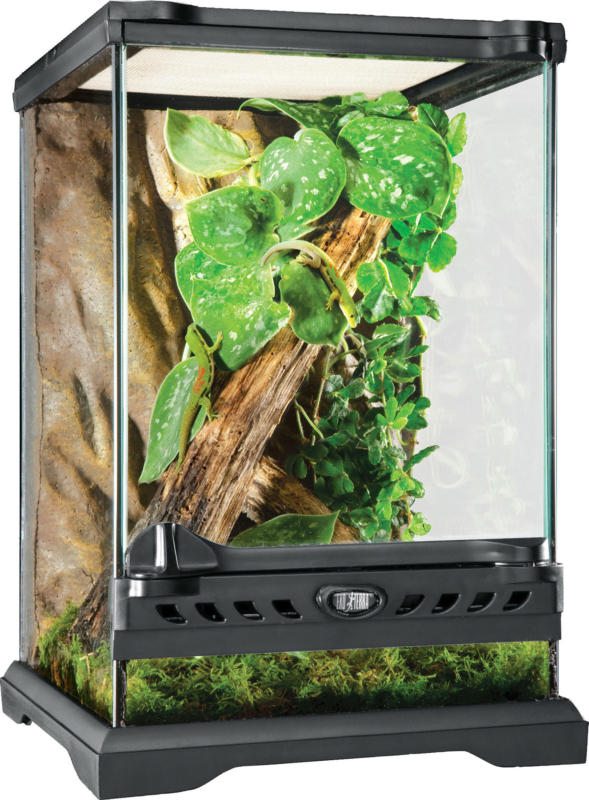 Exo Terra Nano Terrarium en verre 20x20x30cm