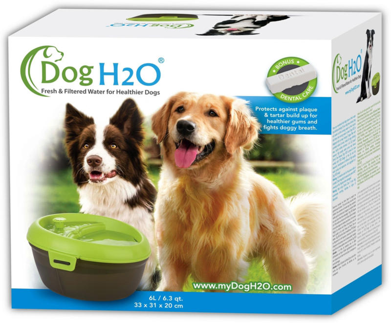 H2O Hundebrunnen