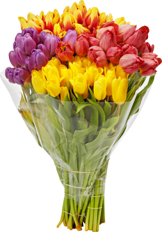 Tulpen, Niederlande, 20er-Bund