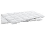 Duvet SWISS DREAM BY BILLERBECK 160x210cm weiss