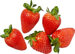 Fraises, Provenance indiquée sur l’emballage, 500 g