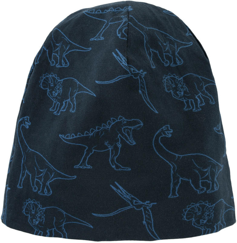 Jungen Beanie mit Dino-Allover (Nur online)