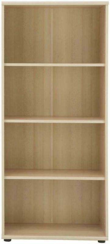 Aktenregal Serie 200 B: 65,1 cm Buche
