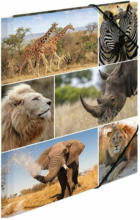 PAGRO DISKONT HERMA Gummizugmappe ”Wildtiere Afrika” A4 bunt