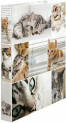 HERMA Ringmappe A4 ”Katzen” 3,5 cm bunt