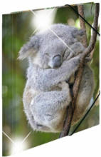 PAGRO DISKONT HERMA Gummizugmappe ”Koala” A4 bunt