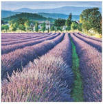 PAGRO DISKONT Servietten ”Lavendelfeld” 33 x 33 cm 20 Stück violett