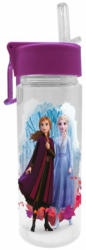 Trinkflasche ”Frozen 2” 500 ml bunt