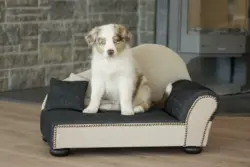 Hundesofa Leroy in Anthrazit/Sandfarben