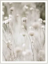 Keilrahmenbild Flora ca. 63x83cm