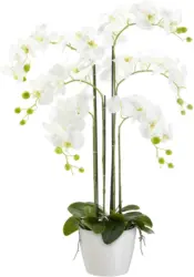 Kunstpflanze Phalänopsis in Weiß