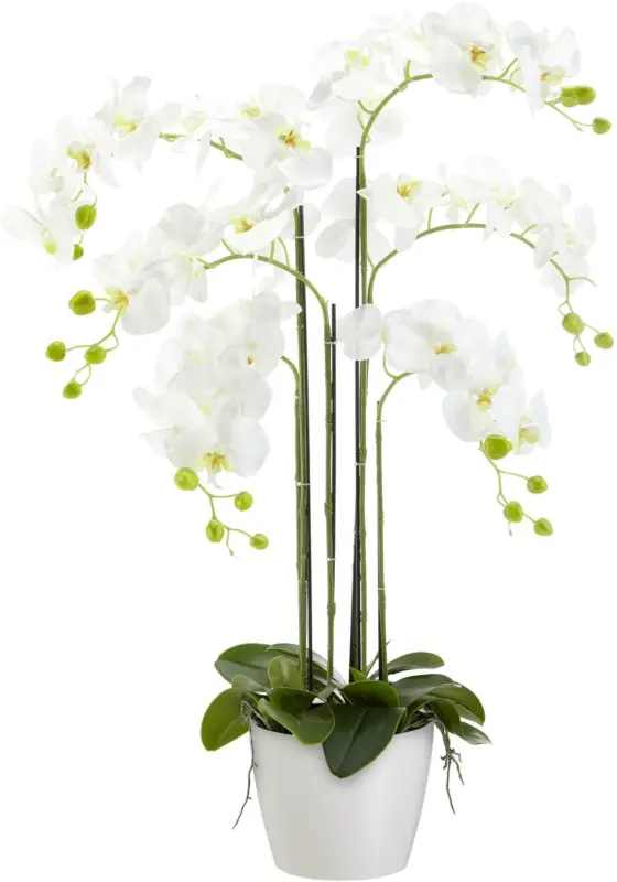 Kunstpflanze Phalänopsis in Weiß