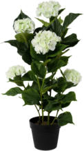 mömax Spittal a. d. Drau Kunstpflanze Hortensie in Weiß